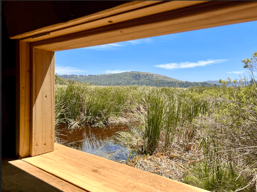 View from Kwendalo Bird hide