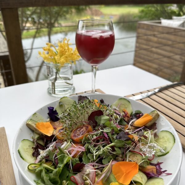 BOWL OF FOOD