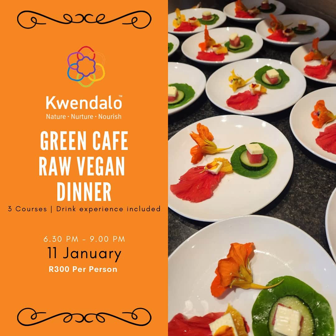 kwendalo green cafe raw vegan dinner 1